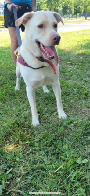 ZEUS!! — thumbnail 2