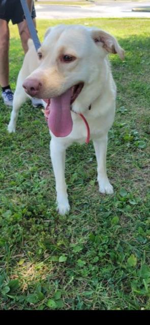 ZEUS!! — thumbnail 3