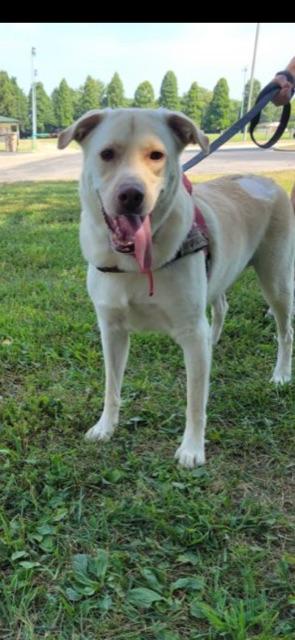 ZEUS!! — thumbnail 4