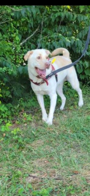 ZEUS!! — thumbnail 5