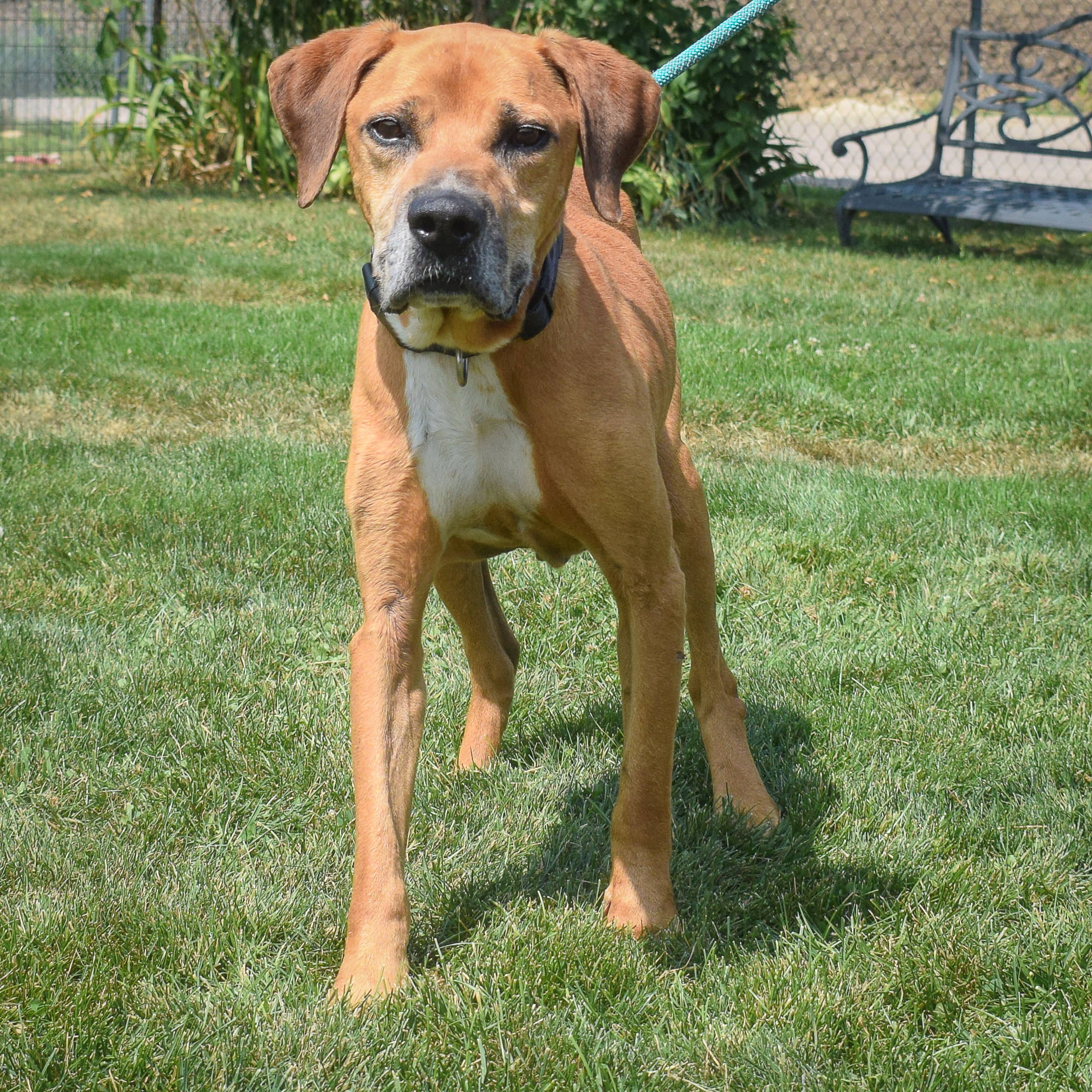 Amos photo 4