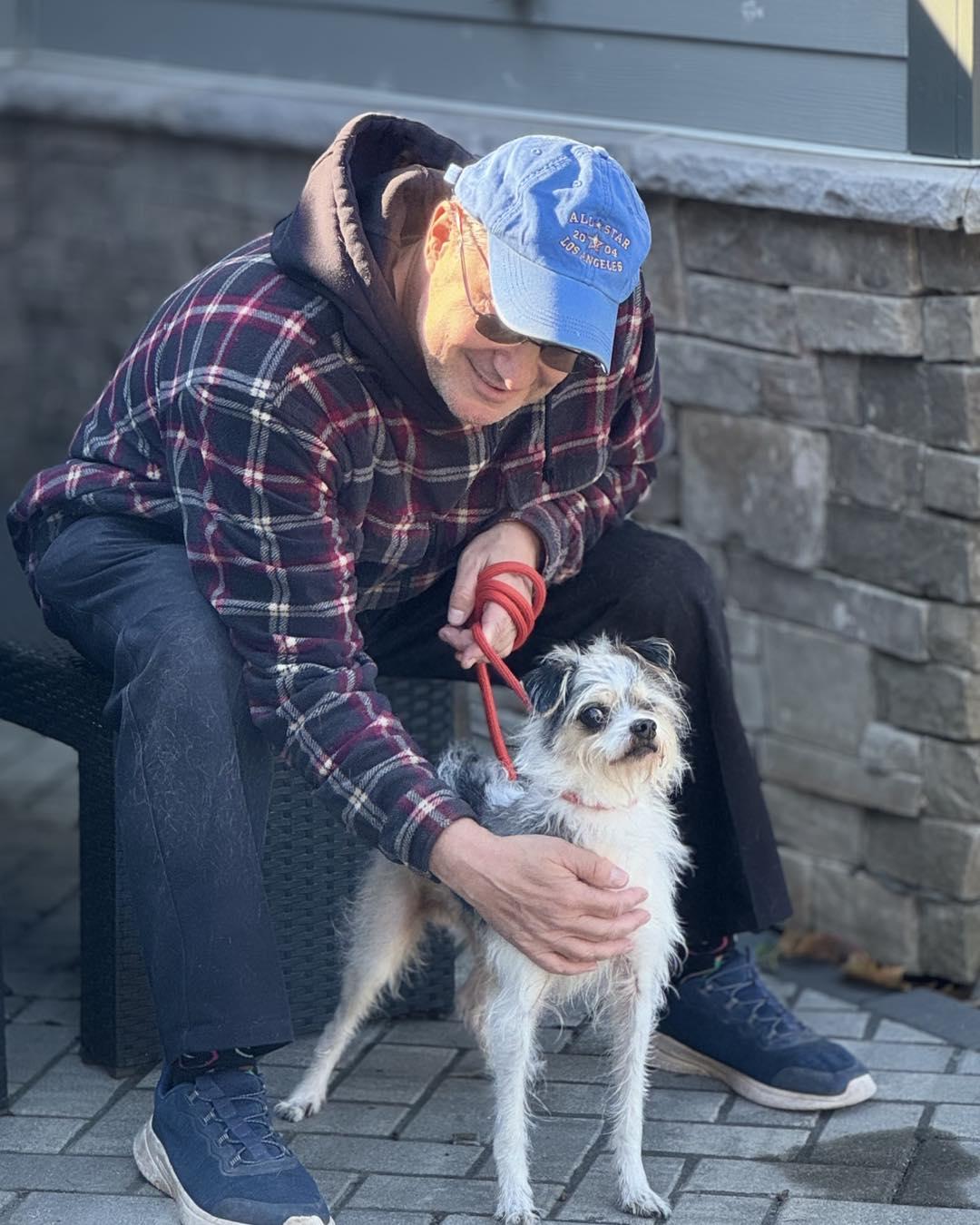 Enlarge Willy, a Adoptable mixed breed in Rock Hill, NY image 3/5