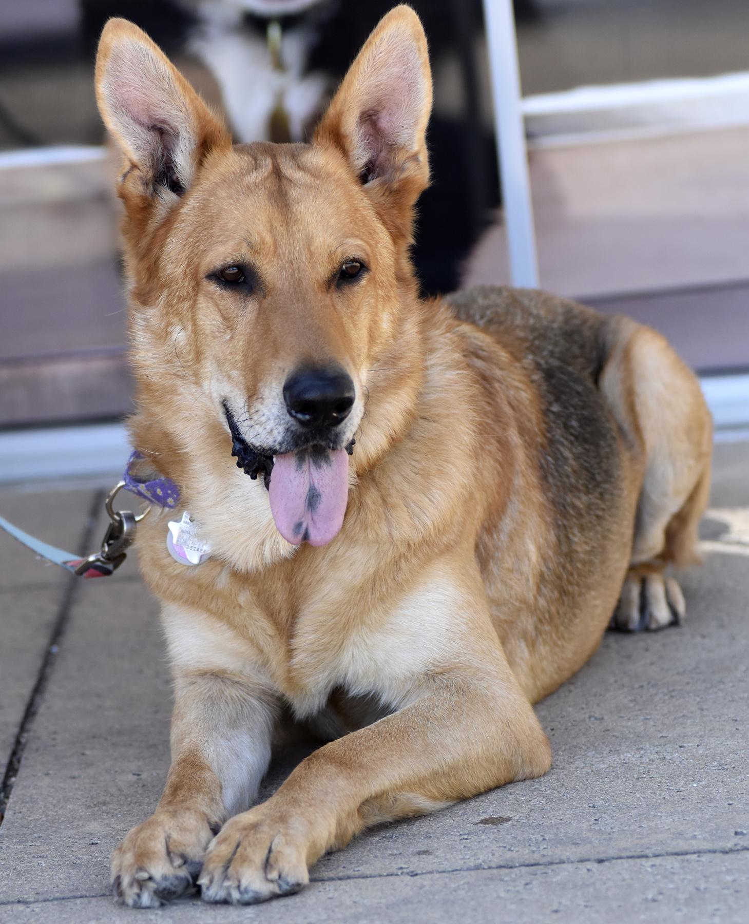 Mountain Man thumbnail 4