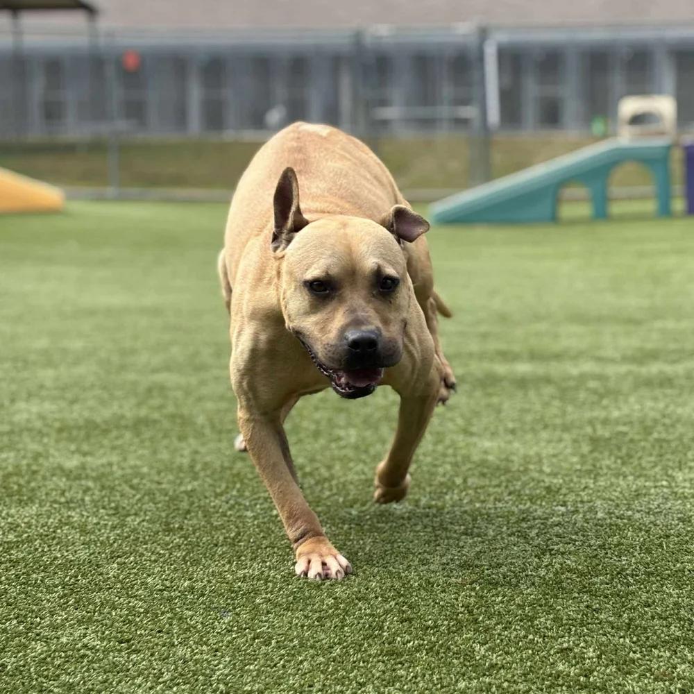 Megan — thumbnail 2