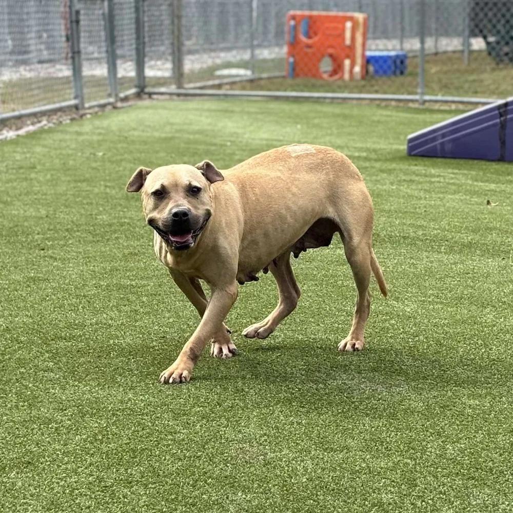 Megan — thumbnail 3