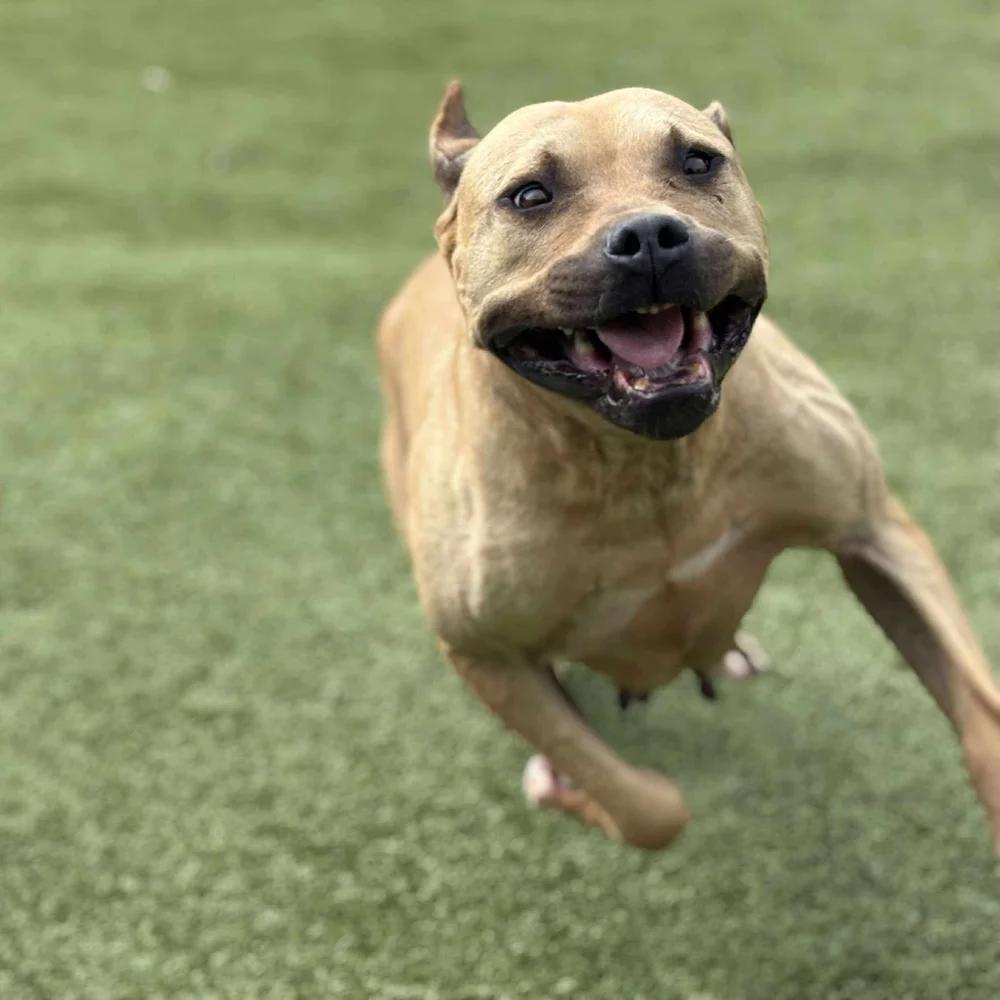 Megan — thumbnail 4