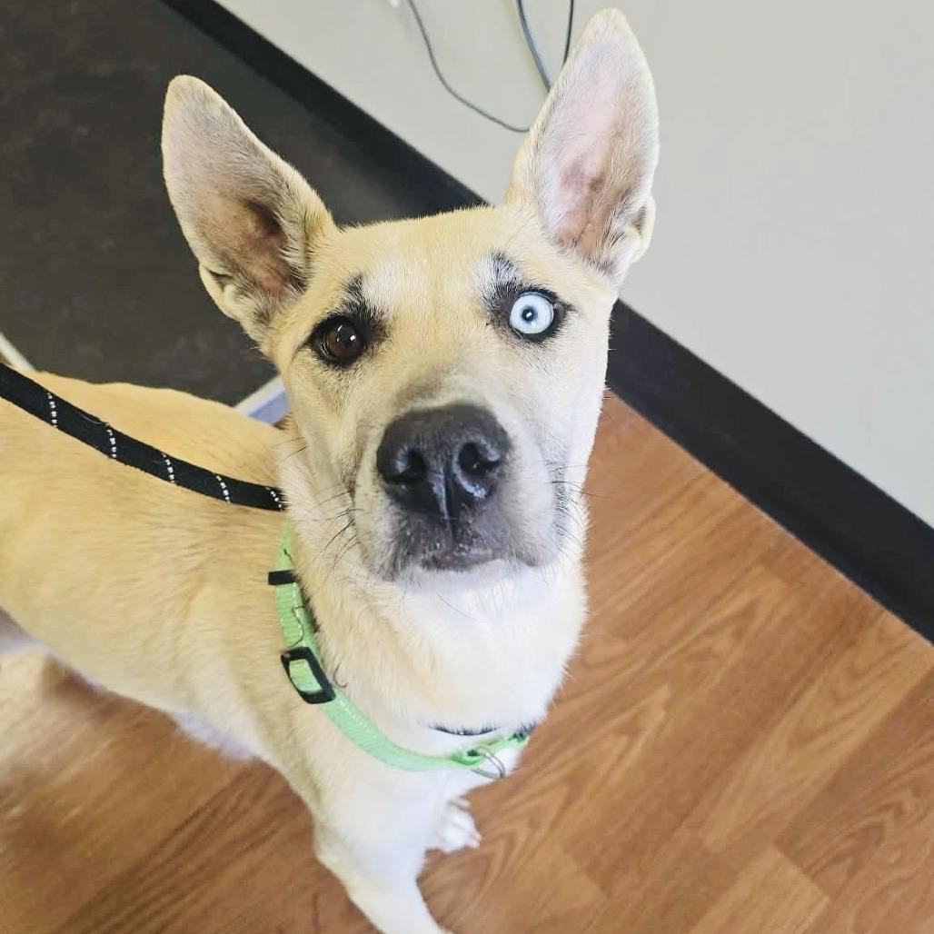 Rainbow — thumbnail 2