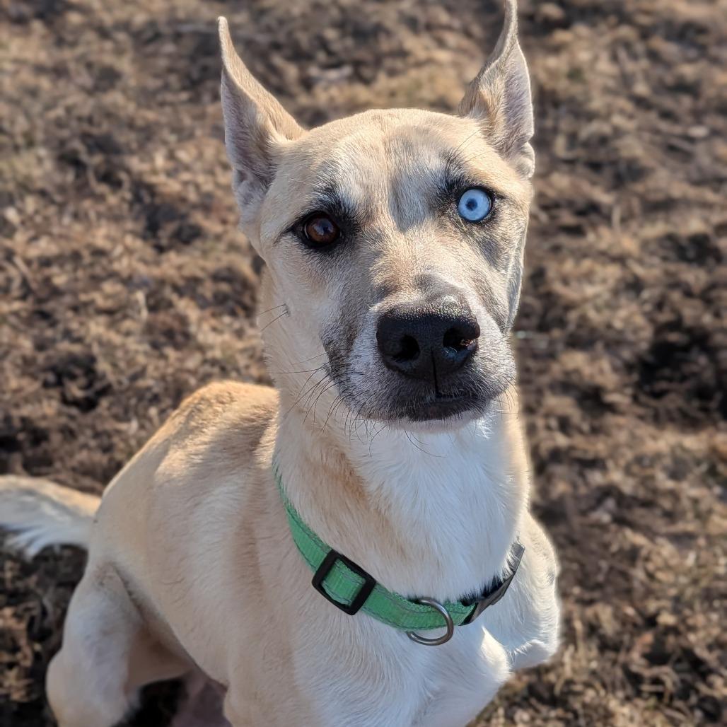 Rainbow — thumbnail 3