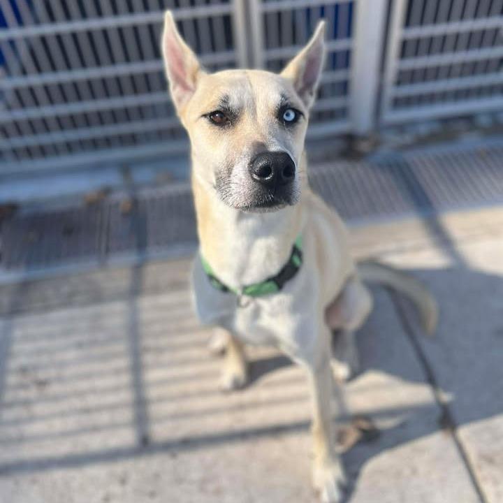 Rainbow — thumbnail 4