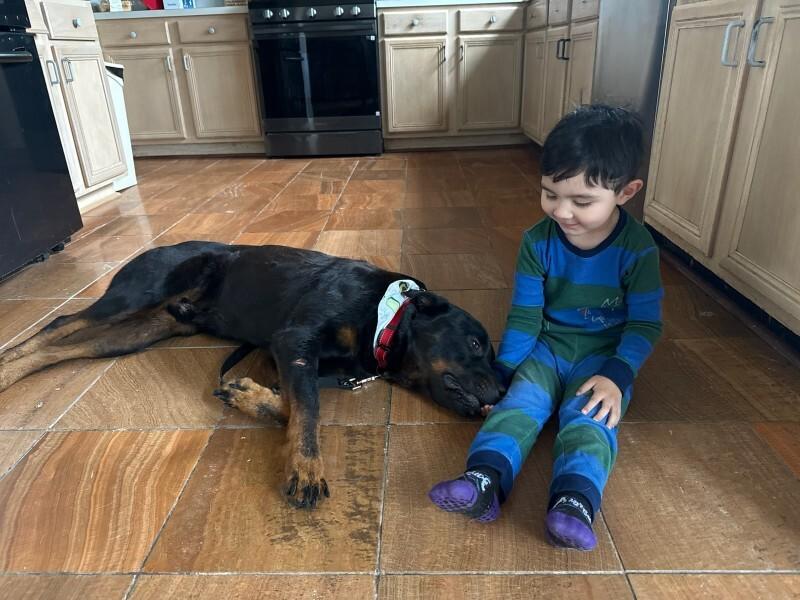 Marcus Bear The Big Gentle Love Bug — thumbnail 3