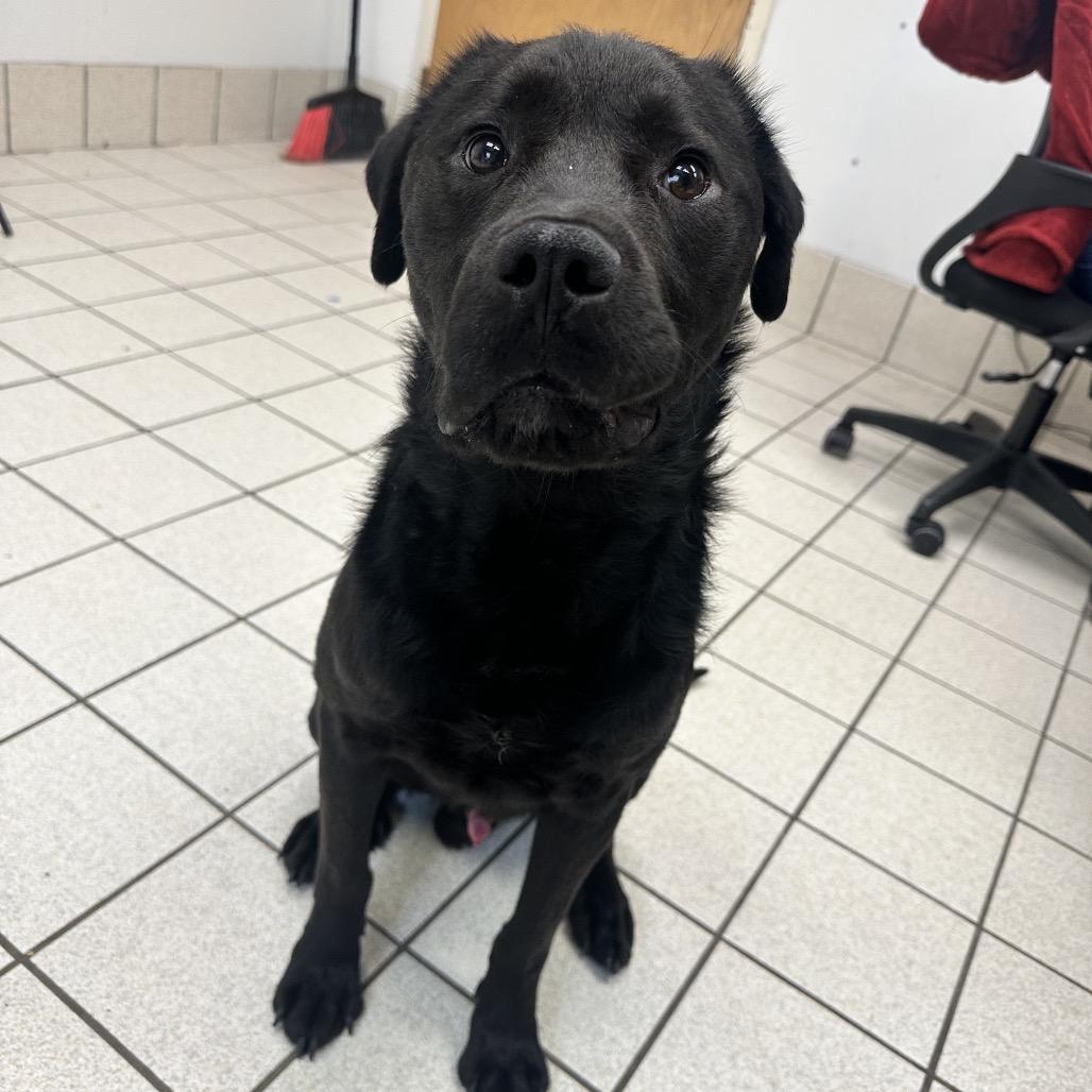 Farnsworth — thumbnail 2