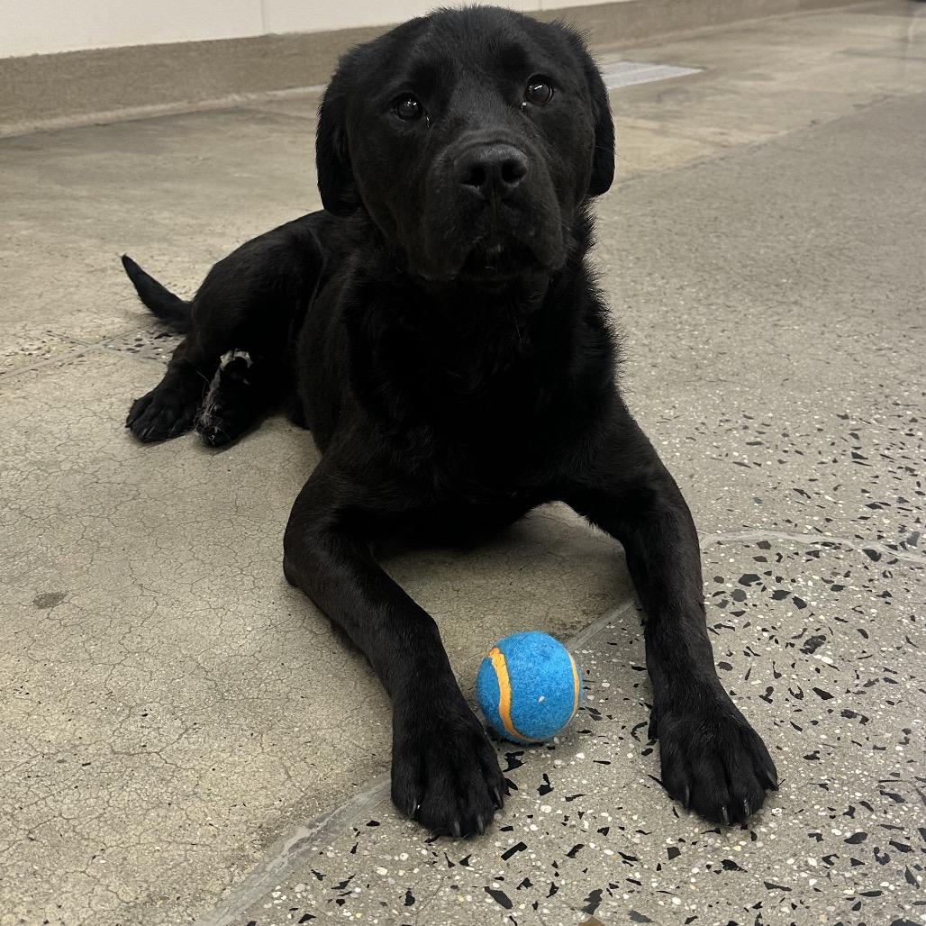 Farnsworth — thumbnail 3