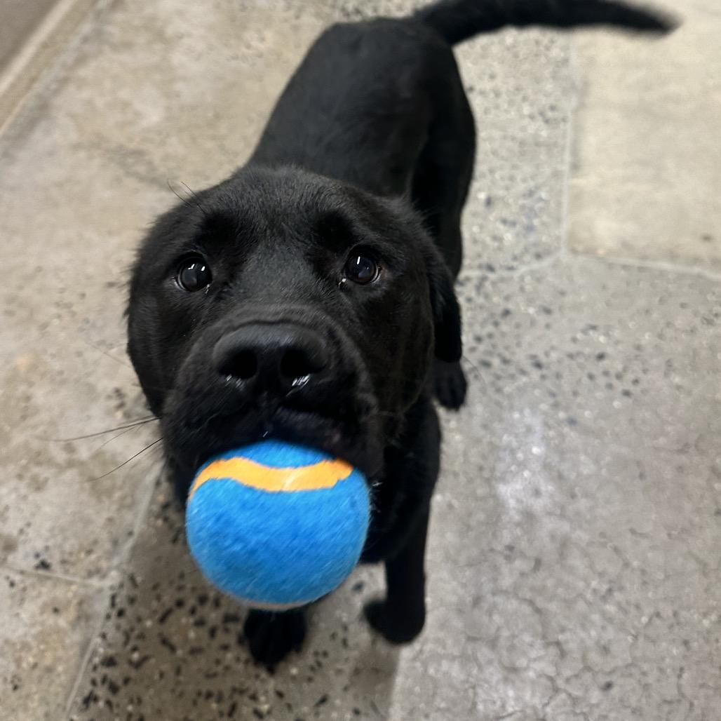 Farnsworth — thumbnail 4