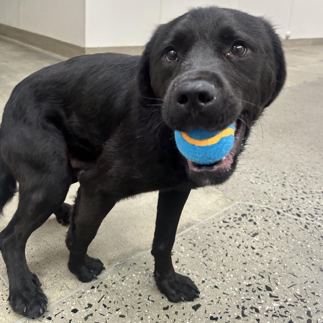 Farnsworth — thumbnail 5