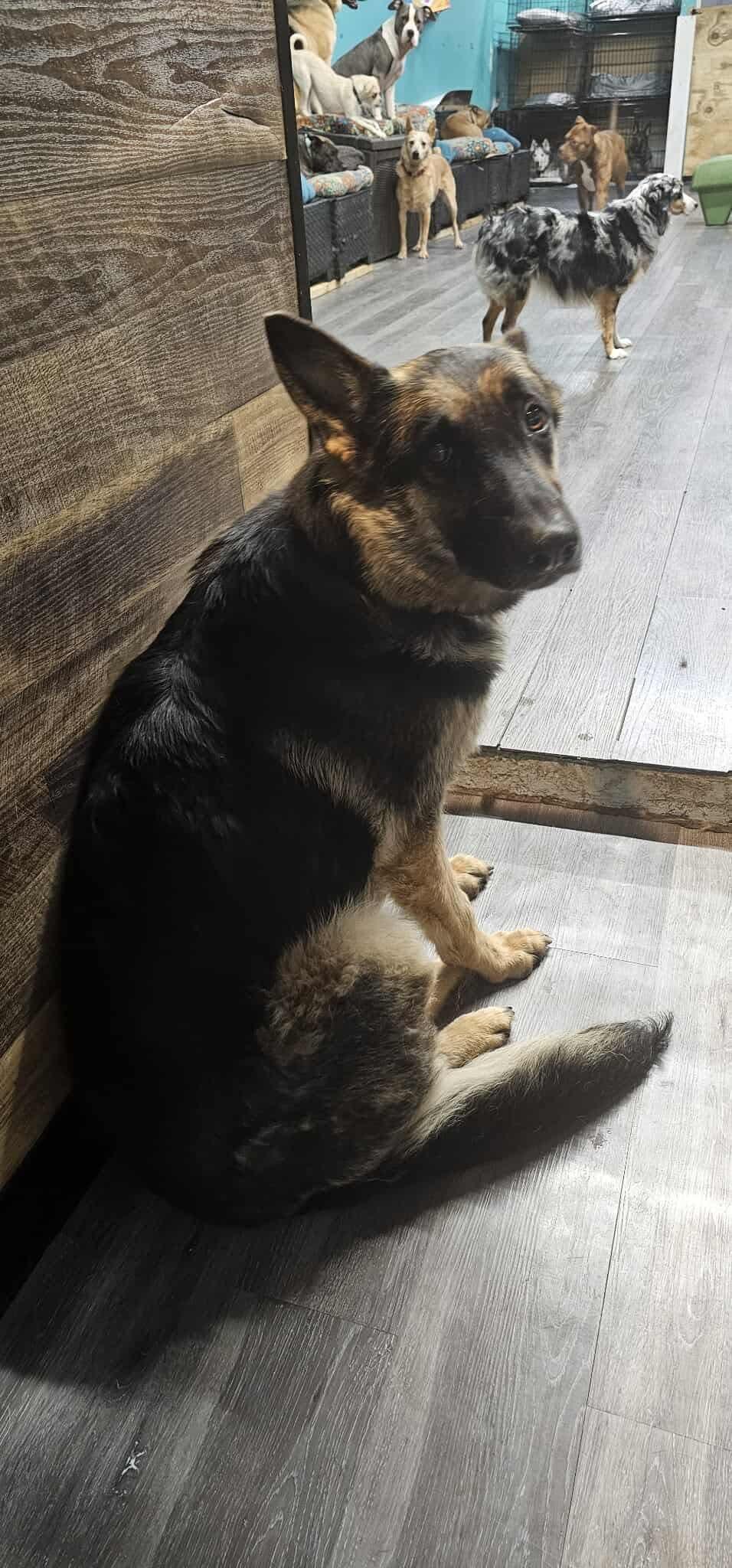 Chloe