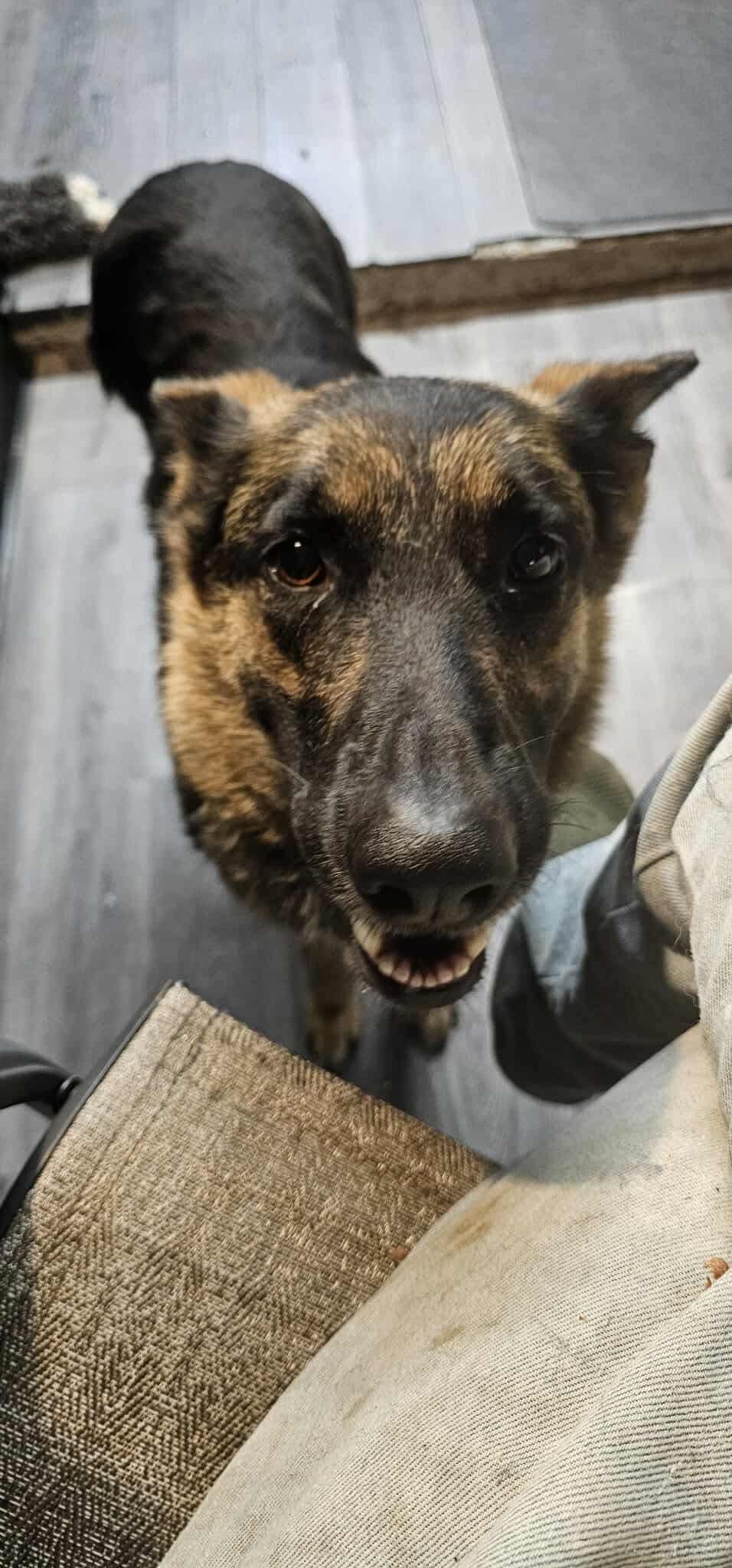 Chloe