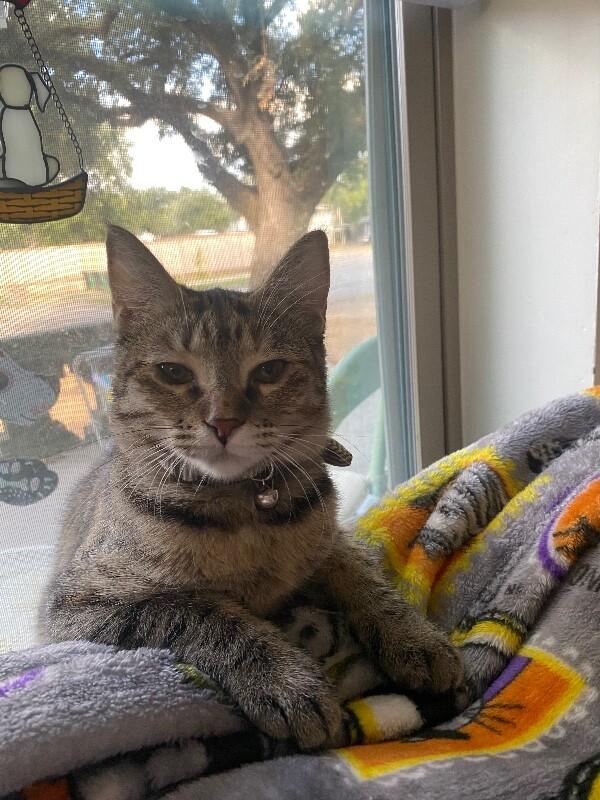 Milky Way Candy — thumbnail 4