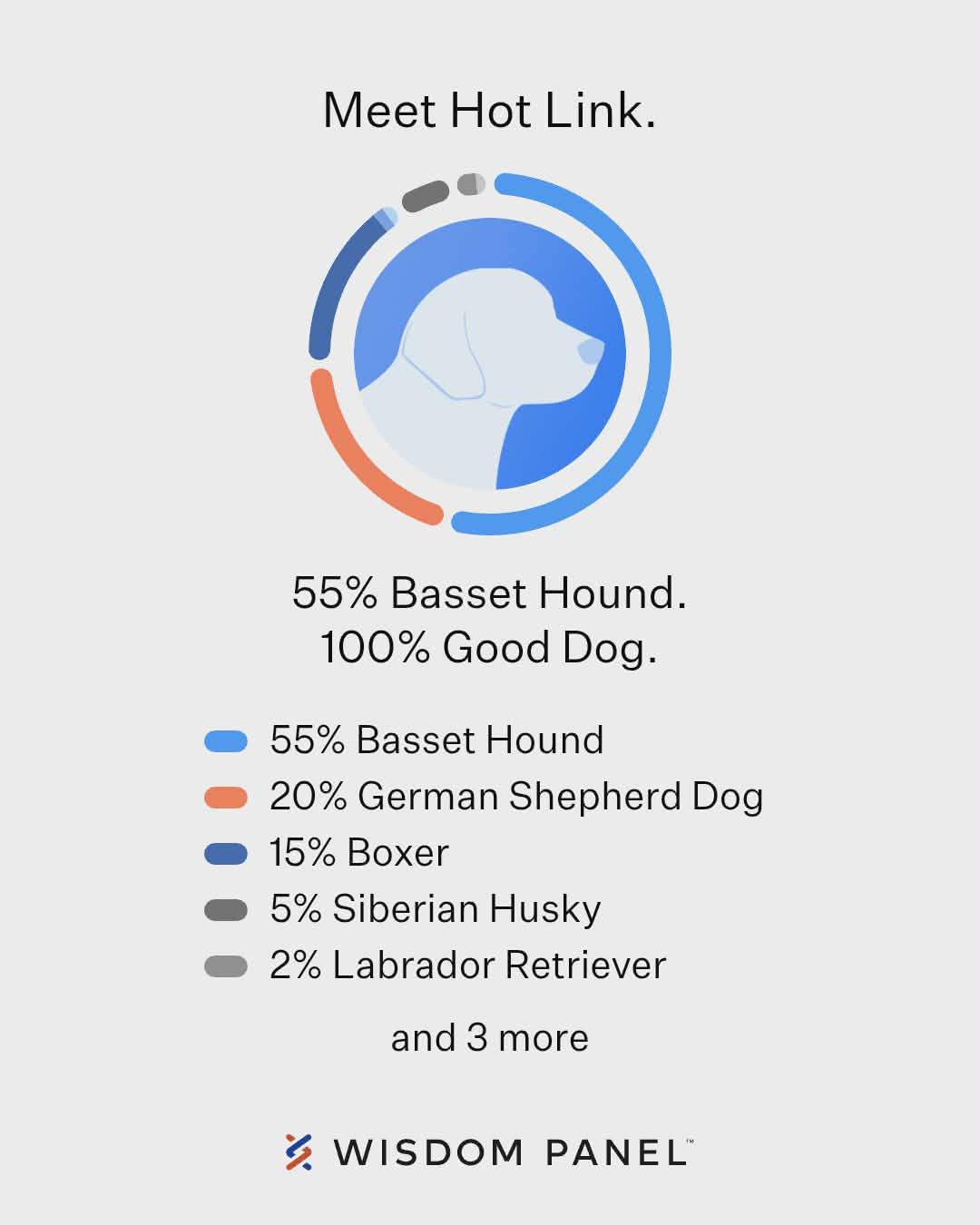 Enlarge Oscar Mayer, a Adopted mixed breed in TULSA, OK image 6/6