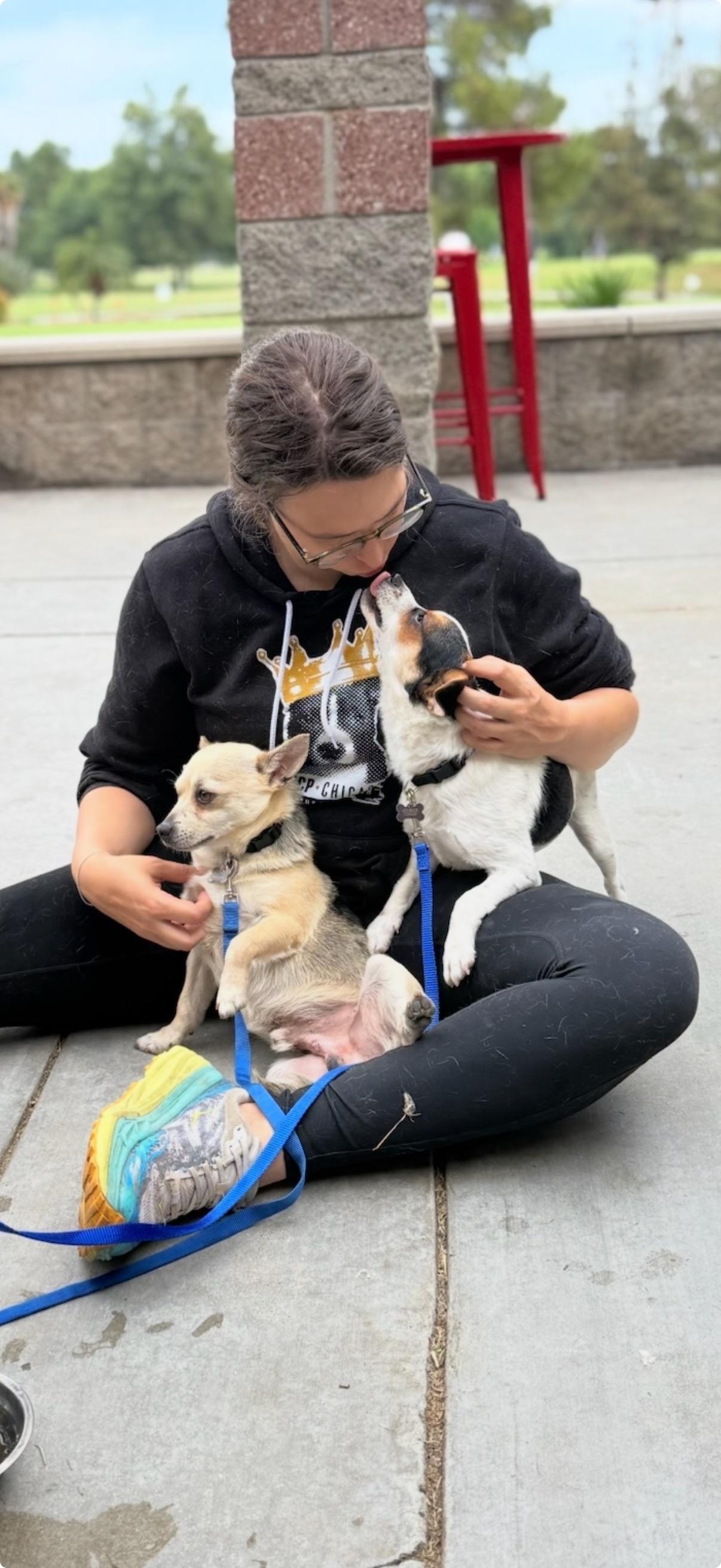 Enlarge Cacio COURTESY POST, a Adoptable mixed breed in Los Angeles, CA image 4/4