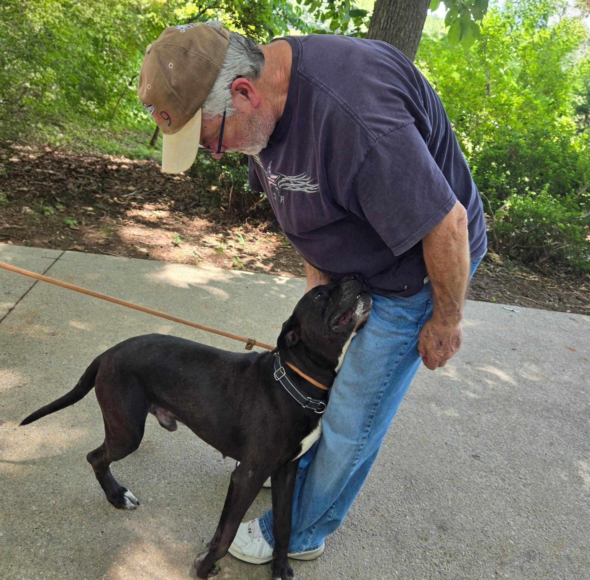Winston, a Adoptable mixed breed in Auburn, GA image 2/6