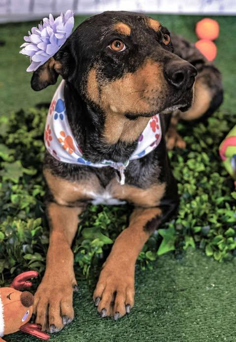 Michelle — thumbnail 2