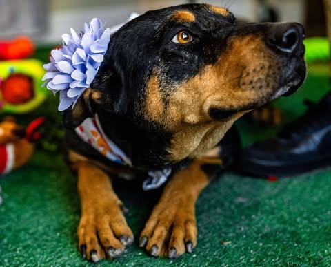 Michelle — thumbnail 5