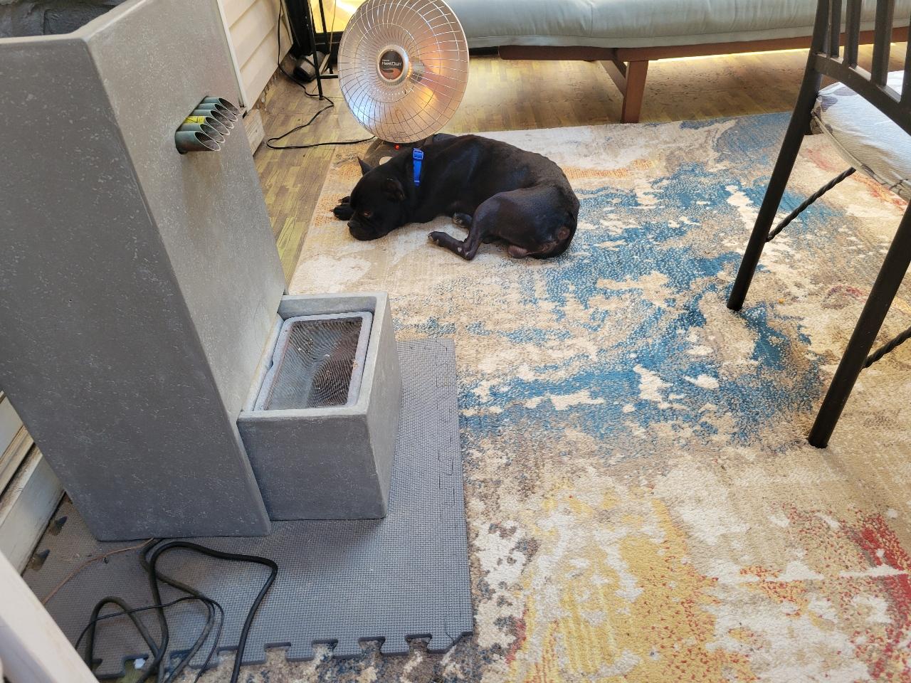 Enlarge Louie, a Adoptable French Bulldog in Jacksonville, AL image 3/6