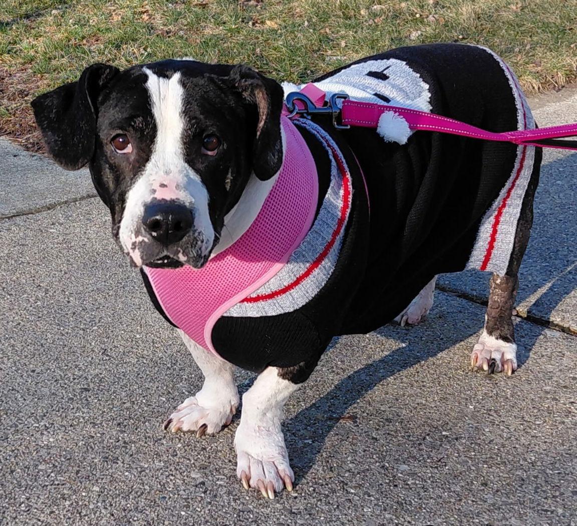 Cally *Transportation Available*