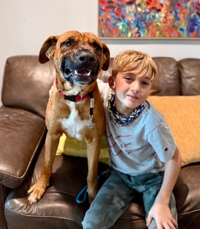 Bowen Grinner the Grinning Machine — thumbnail 5