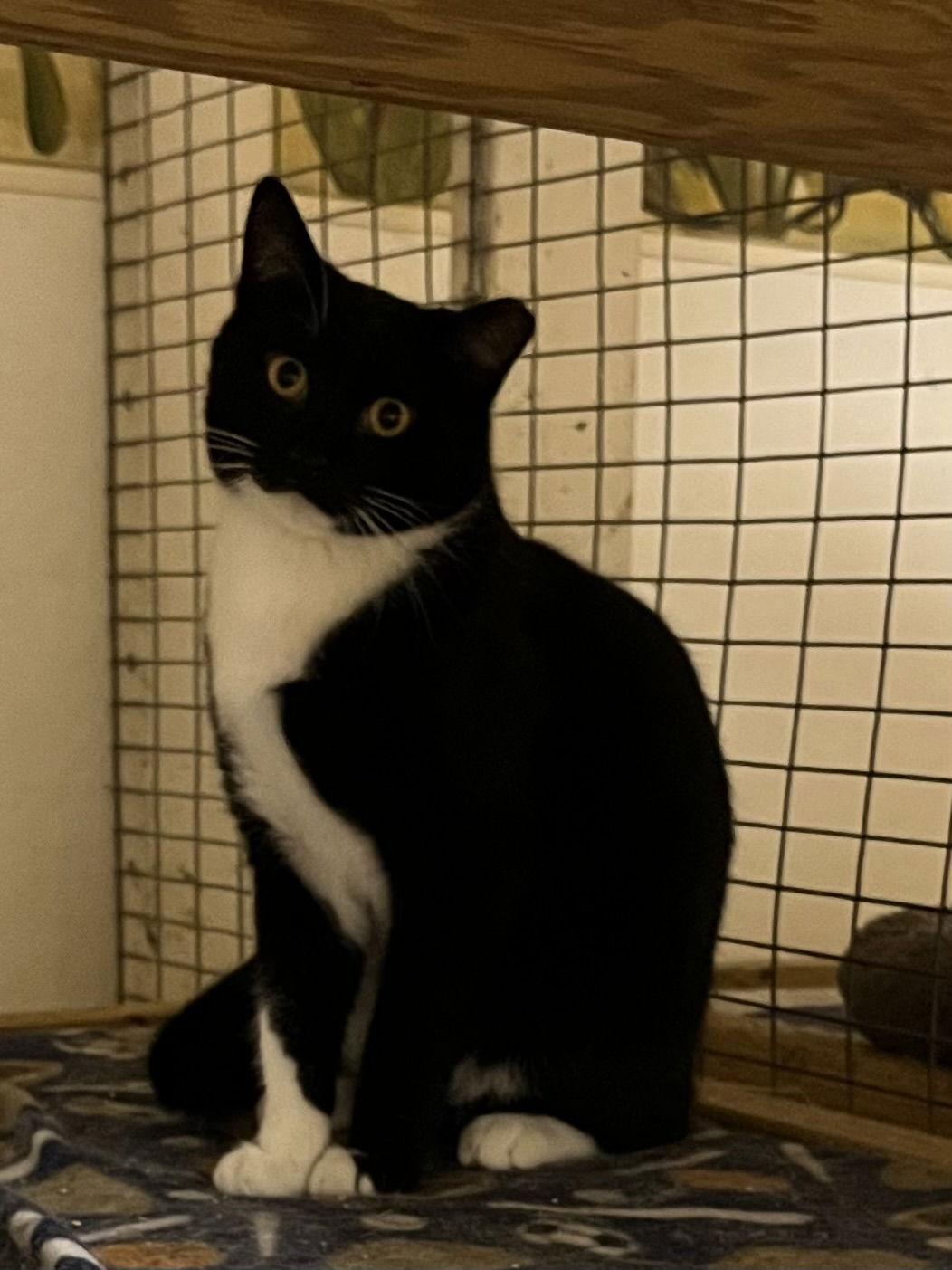 Ernie — thumbnail 2