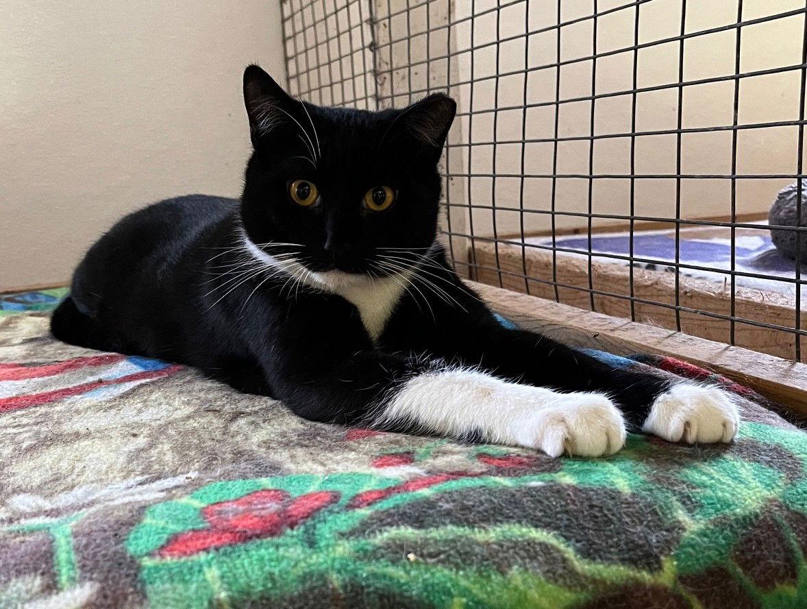 Ernie — thumbnail 3