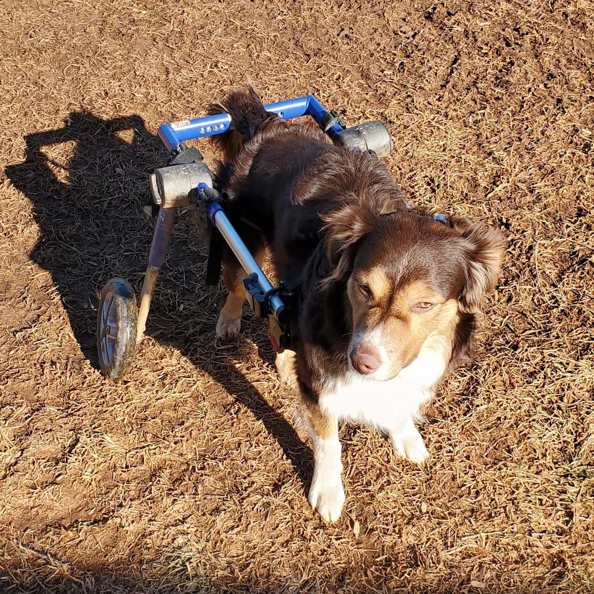 Gus photo 5
