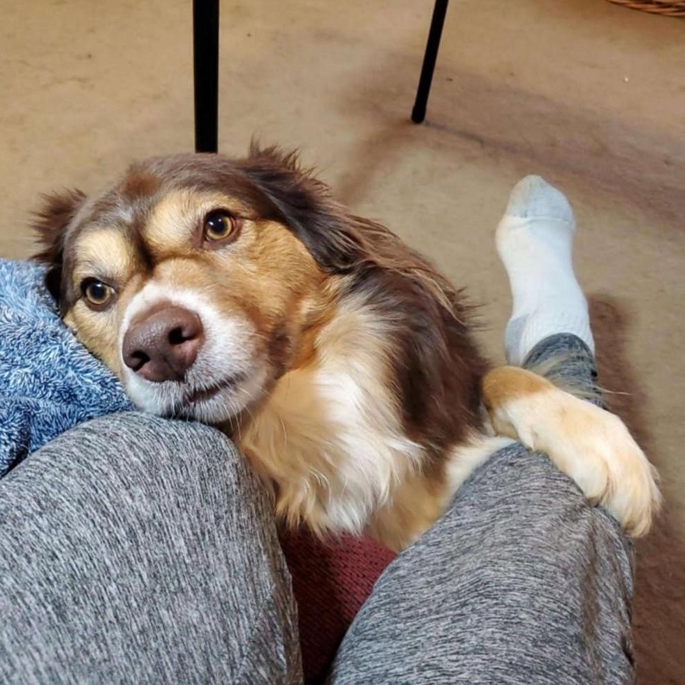 Gus