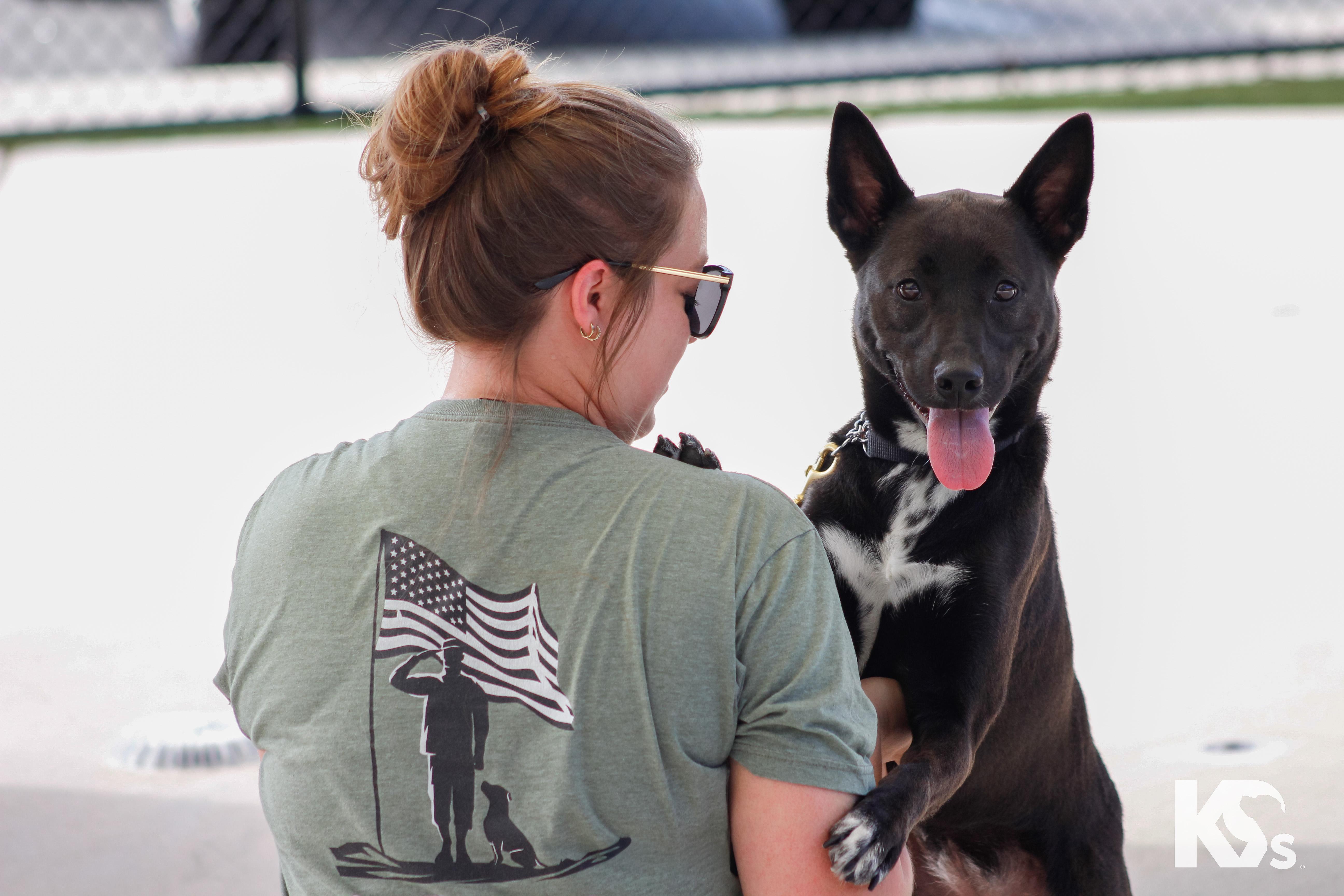 Haze, a ADOPTABLE mixed breed in Ponte Vedra, FL image 6/6