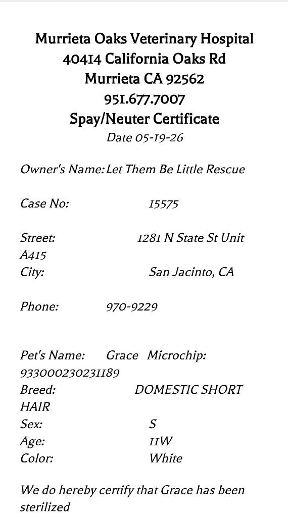 Enlarge Grace, a Adoptable mixed breed in San Jacinto, CA image 1/2