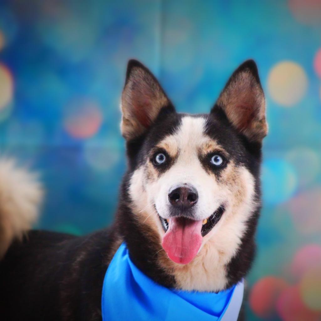 Haku JuM* — thumbnail 2