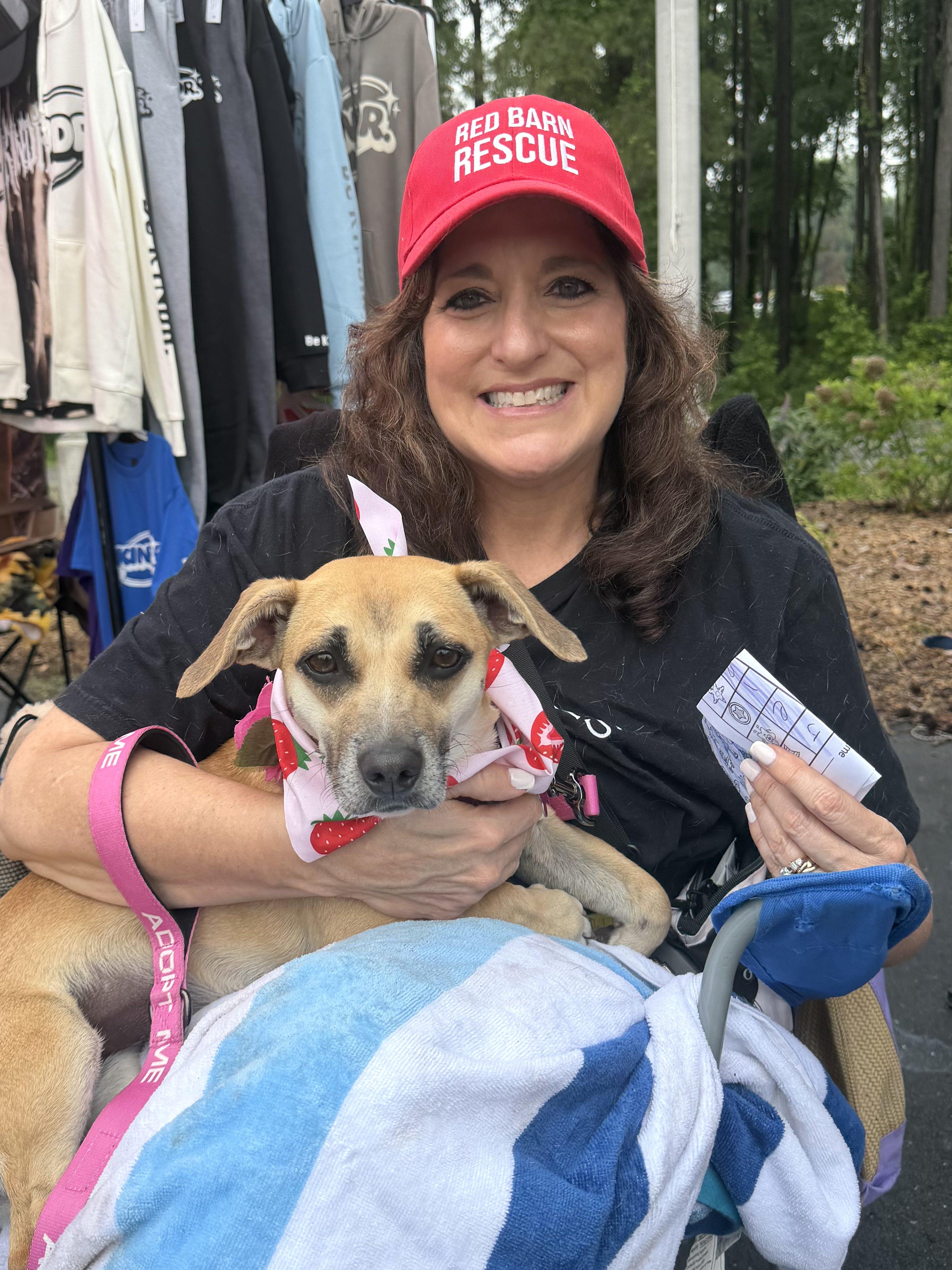 Jelly - AVAILABLE TO FOSTER OR ADOPT, an adoptable Chiweenie in Clayton, NC image 3/6
