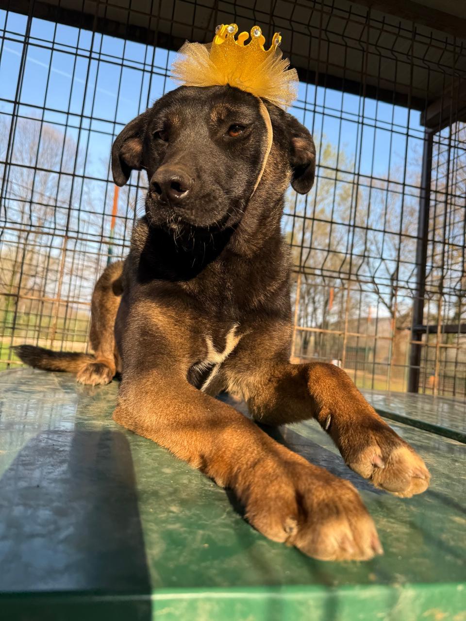 Alexa — thumbnail 5