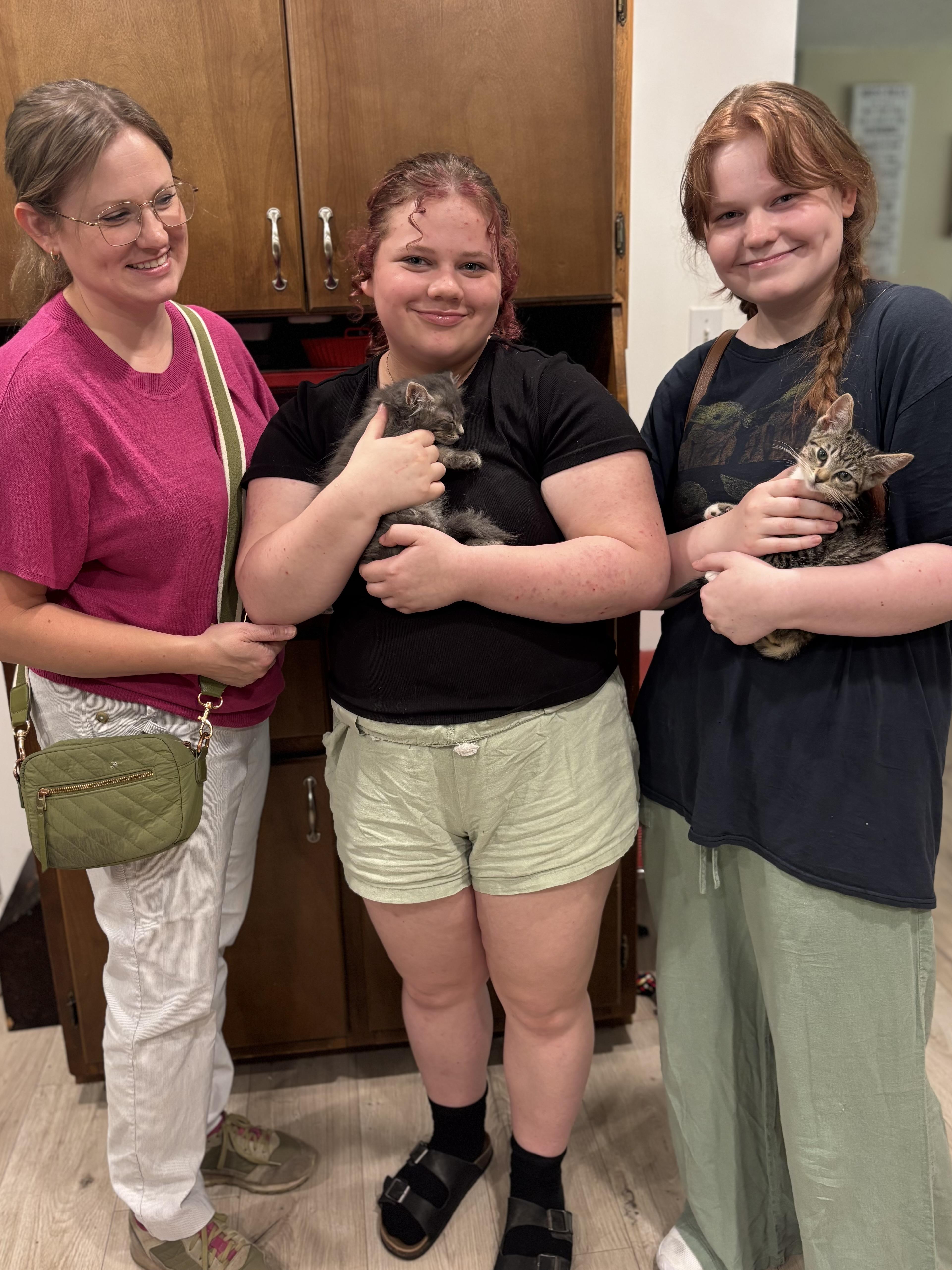 Buttercup, adopted, Kitten Female Domestic Short Hair.