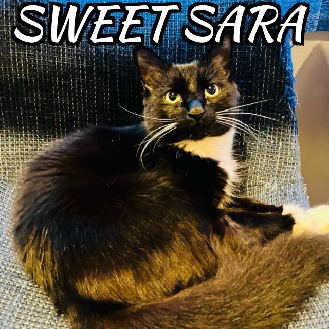 Sara