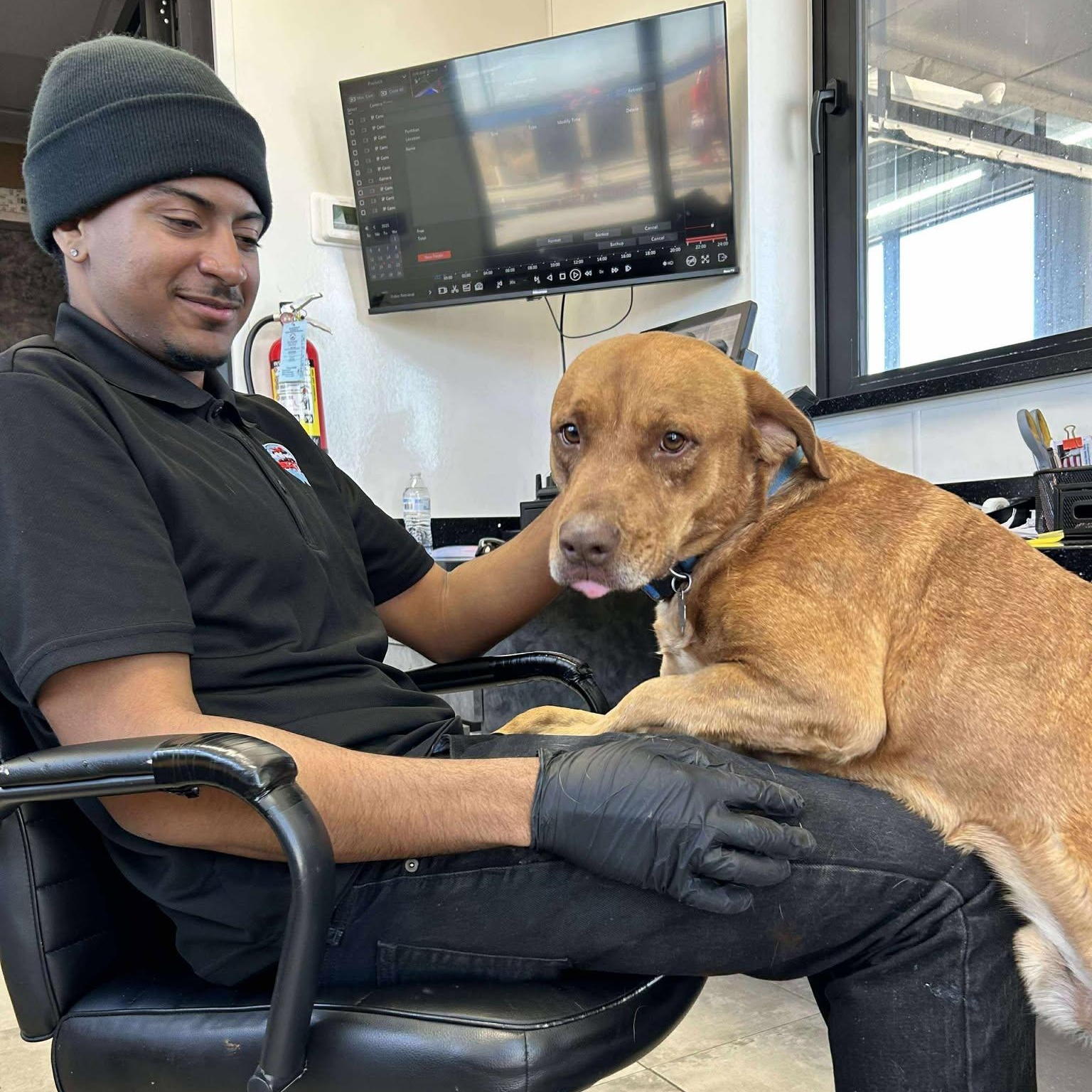 Enlarge CARWASH BUDDY LIVES AT THE CARWASH, a Adoptable mixed breed in allen, TX image 5/6
