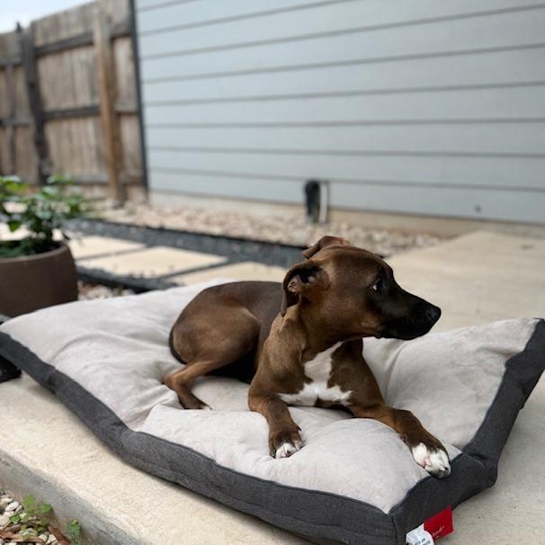 Lucielle — thumbnail 2