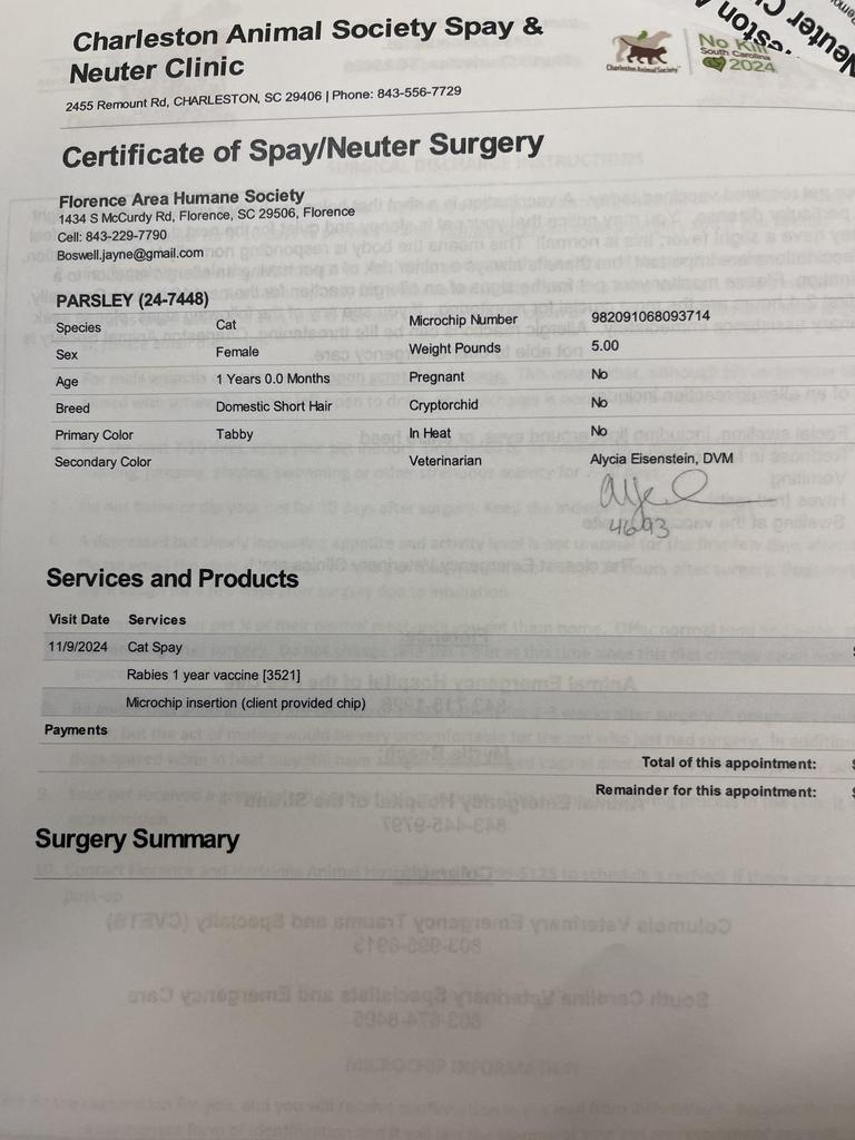 Enlarge PARSLEY, a Adoptable mixed breed in Florence, SC image 2/4