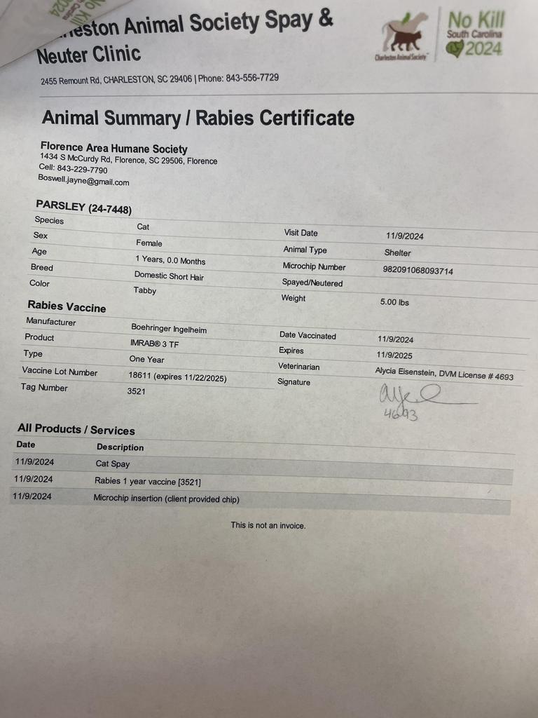 Enlarge PARSLEY, a Adoptable mixed breed in Florence, SC image 4/4