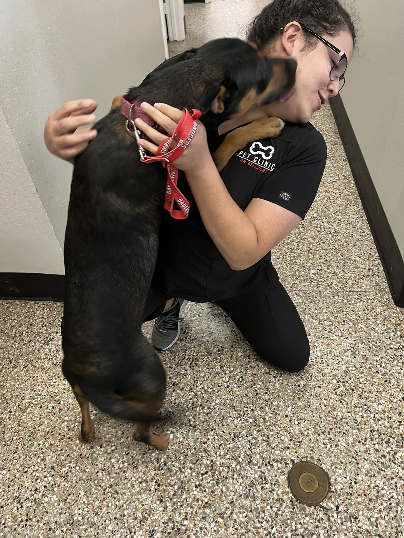 Betsy, a Adoptable mixed breed in Dublin, OH image 6/6