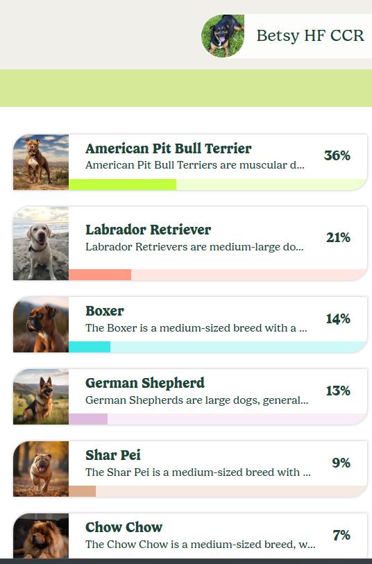 Betsy, a Adoptable mixed breed in Dublin, OH image 5/6