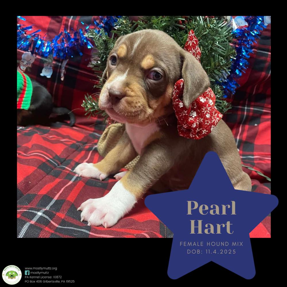 Pearl Hart thumbnail 3