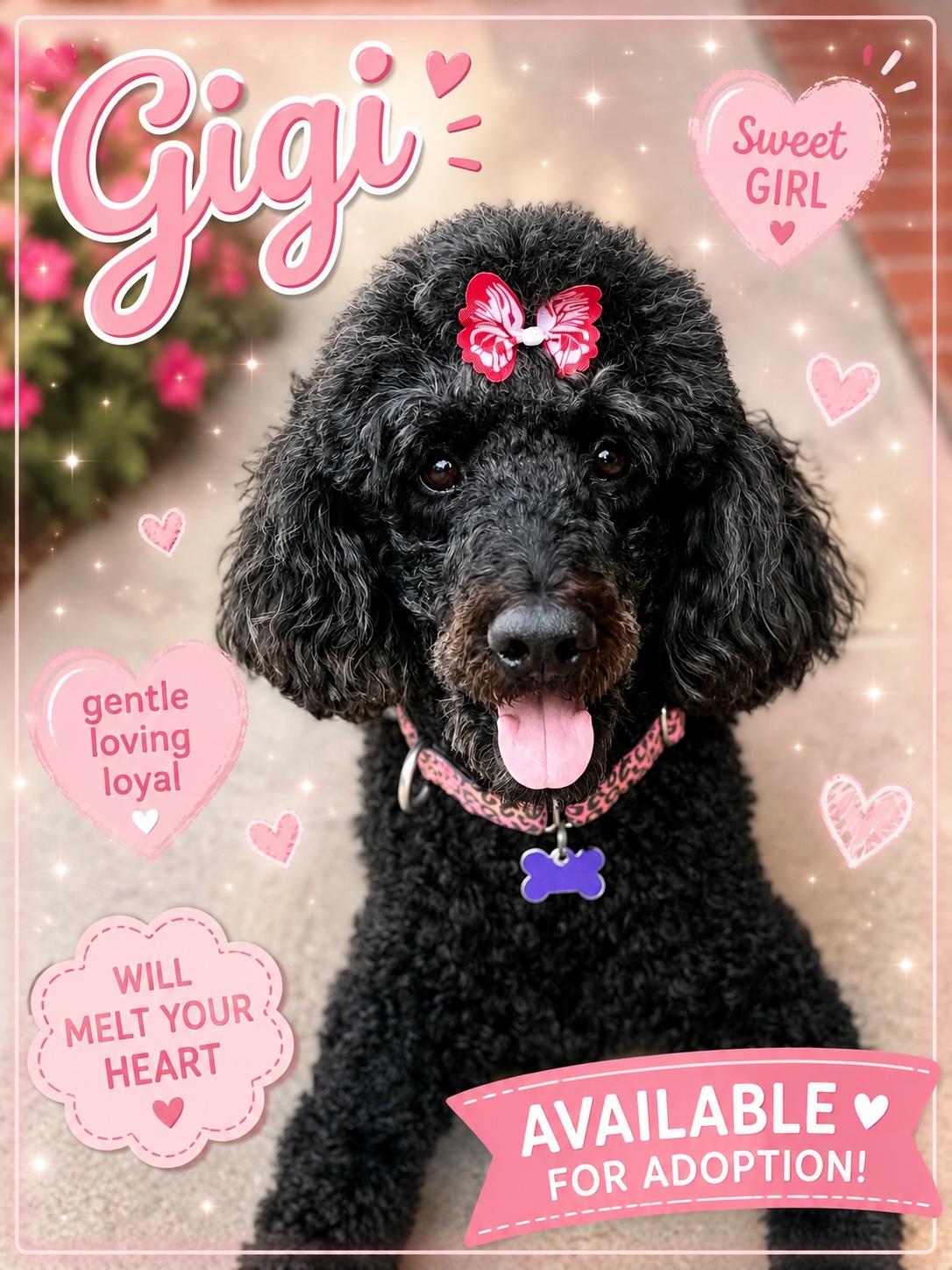 Enlarge GiGi, a Adopted mixed breed in Los Angeles , CA image 1/6