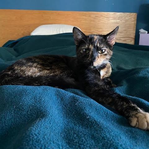 Valentina — thumbnail 2