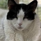 Elodie — thumbnail 2